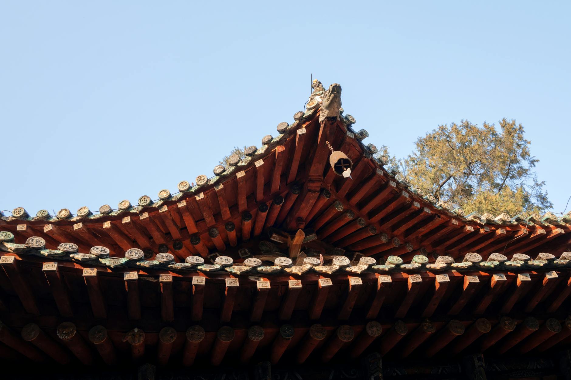 Serverless Architecture: When to Use It — Expert Guide 2026 | Viprasol Tech